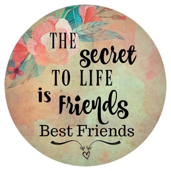 (image for) Snap Jewelry Enamel Ceramic - Friends "the Secret to Life" - Click Image to Close