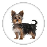 (image for) Snap Jewelry Enamel Ceramic - Dog Yorkie