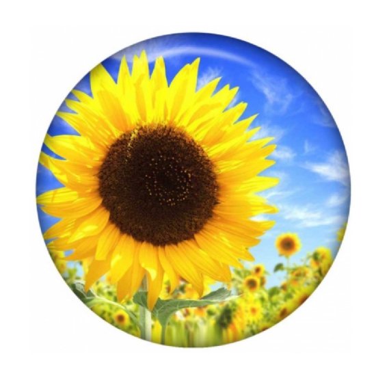 (image for) Snap Jewelry Enamel Ceramic - Sunflower - Click Image to Close