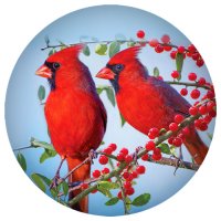 (image for) Snap Jewelry Enamel Ceramic Bird Red Cardinal