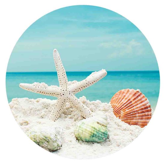 (image for) Snap Jewelry Enamel Ceramic - Starfish & Shell on the Beach - Click Image to Close