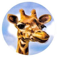 (image for) Snap Jewelry Enamel Ceramic - Giraffe