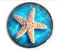 (image for) Snap Glass Jewelry Starfish in ocean