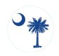 (image for) Palm Tree Moon SC Flag Bag Charm Compatible for Bogg, Simply Southern & Other Major Brands