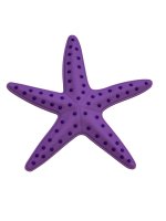 (image for) Starfish Purple Bag Charm Compatible for Bogg, Simply Southern & Other Major Brands