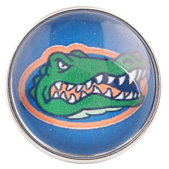 (image for) Snap Glass Jewelry - Sports Gator - Click Image to Close