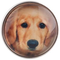 (image for) Snap Glass Jewelry - Animals Dogs