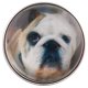 (image for) Snap Glass Jewelry - Animals Dogs