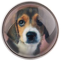 (image for) Snap Glass Jewelry - Animals Dogs