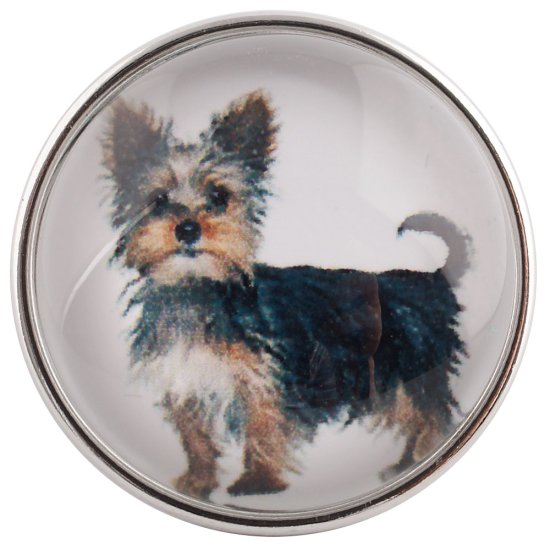 (image for) Snap Glass Jewelry - Animals Dogs - Click Image to Close