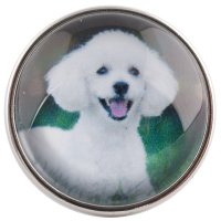 (image for) Snap Glass Jewelry - Animals Dogs