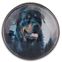 (image for) Snap Glass Jewelry - Animals Dogs