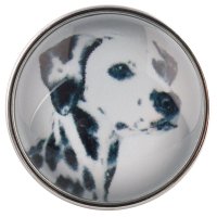 (image for) Snap Glass Jewelry - Animals Dogs