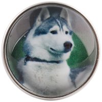 (image for) Snap Glass Jewelry - Animals Dogs