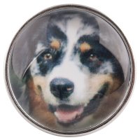 (image for) Snap Glass Jewelry - Animals Dogs