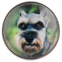 (image for) Snap Glass Jewelry - Animals Dogs