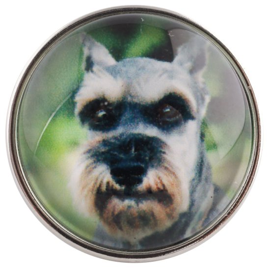 (image for) Snap Glass Jewelry - Animals Dogs - Click Image to Close