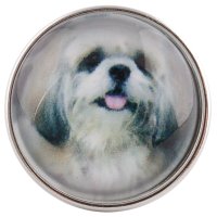 (image for) Snap Glass Jewelry - Animals Dogs