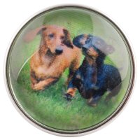 (image for) Snap Glass Jewelry - Animals Dogs