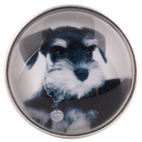 (image for) Snap Glass Jewelry - Animals Dogs