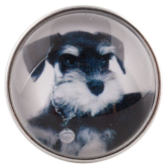 (image for) Snap Glass Jewelry - Animals Dogs - Click Image to Close