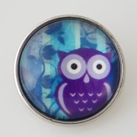 (image for) Snap Jewelry Photo - Animal Owl