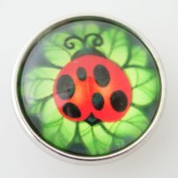 (image for) Snap Jewelry Photo - Animal Lady Bug & Leaves