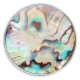 (image for) Snap Jewelry Abalone - Abalone Shell