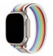 (image for) White & Rainbow Apple Trail Nylon Elastic Bands 38mm 40mm 41mm