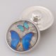 (image for) Snap Jewelry Photo - Animal - Butterflies