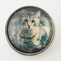 (image for) Snap Jewelry Photo - Animal - Cat