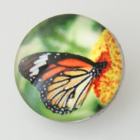 (image for) Snap Jewelry Photo - Animal - Butterfly & Flower