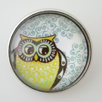 (image for) Snap Jewelry Glass - Owl Yellow & Light Blue