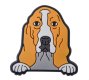 (image for) Basset Hound Shoe Charm Compatible with Croc Shoes & Accessories