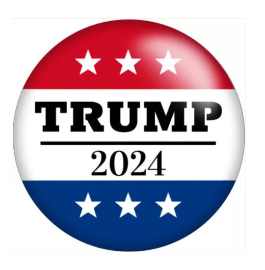 (image for) Snap Jewelry Trump Vote 2024 18-20mm fits Ginger Charms - Click Image to Close