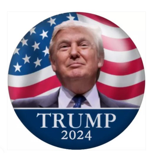 (image for) Snap Jewelry Trump Vote 2024 Flag18-20mm Fits Ginger - Click Image to Close